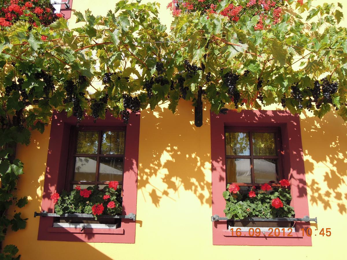 Landgasthof May Willanzheim Ngoại thất bức ảnh